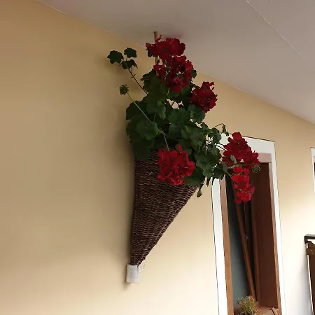 Casa Tiziano E Nila Апартаменты *