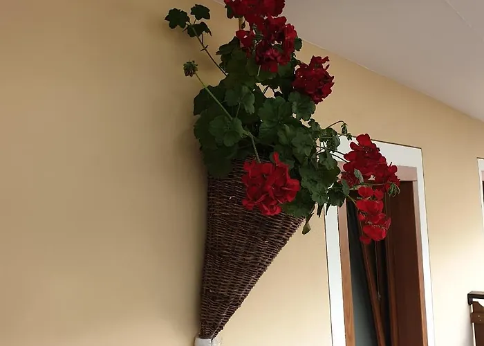 Casa Tiziano E Nila Apartmán *