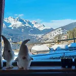 Casa Tiziano E Nila Santo Stefano Di Cadore